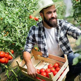 friendly-farmer-at-work-in-greenhouse-H2UHWEH-1.jpg